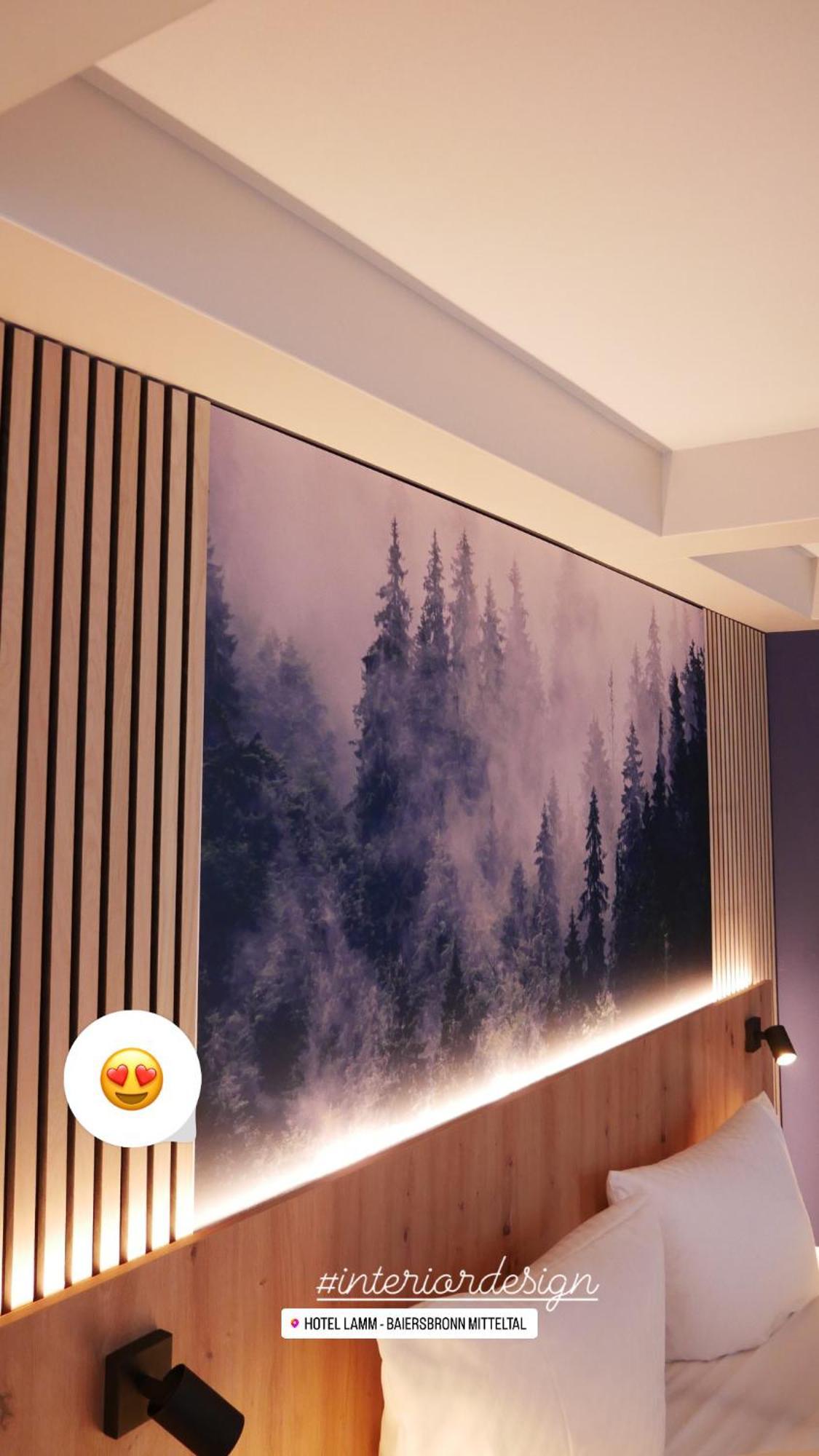 Hotel Lamm Baiersbronn Mitteltal Exteriér fotografie