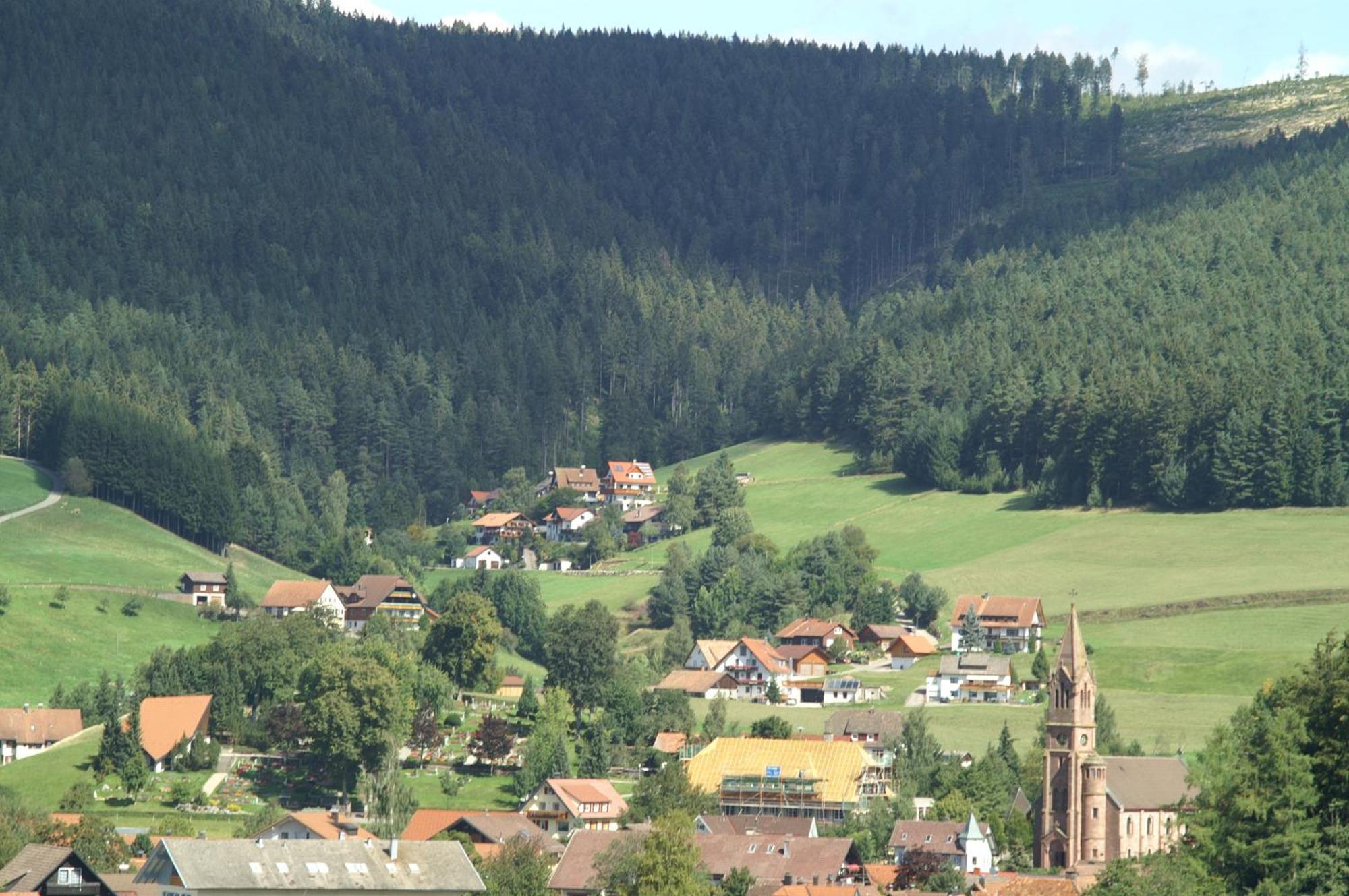 Hotel Lamm Baiersbronn Mitteltal Exteriér fotografie